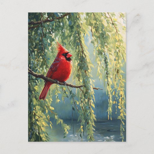 Kardinaal in een wilgenboom briefkaart (Voorkant)