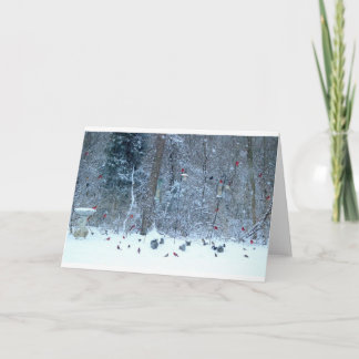 Kardinaal in het Wenskaart van de Sneeuw Kaart