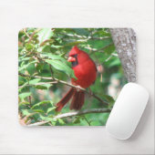 Kardinaal in Holly Muismat (Met muis)