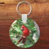 Kardinaal in Holly Sleutelhanger (Voorkant)