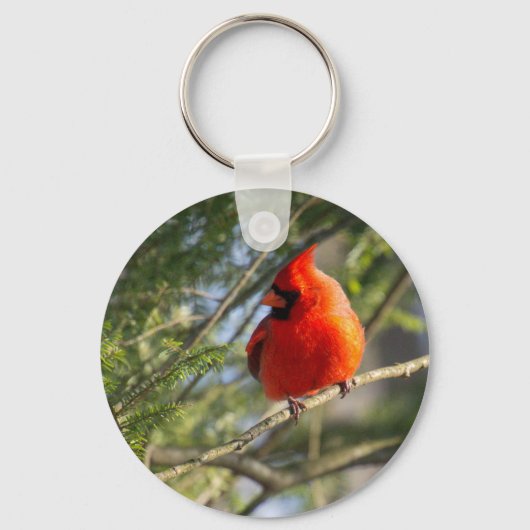Kardinaal in pijnbomen sleutelhanger (Voorkant)