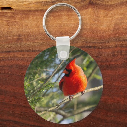 Kardinaal in pijnbomen sleutelhanger (Voorkant)