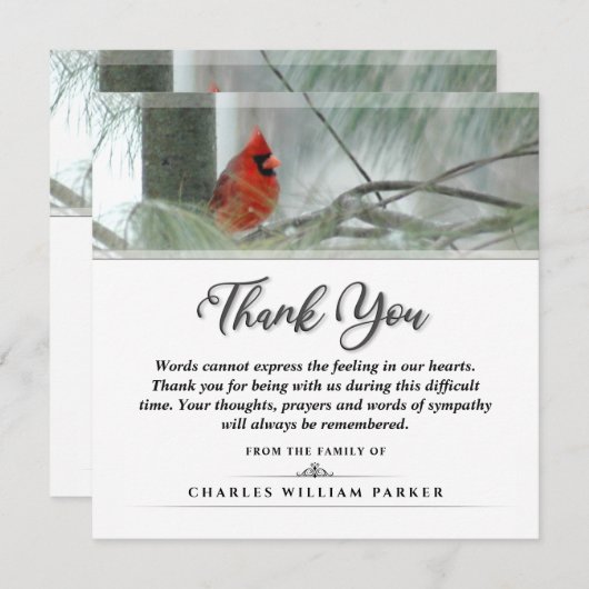 Kardinaal in Pine SQUARE Funeral Hartelijk dank Bedankkaart (Voorkant / Achterkant)