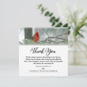 Kardinaal in Pine SQUARE Funeral Hartelijk dank Bedankkaart (Staand voorkant)