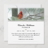 Kardinaal in Pine SQUARE Funeral Hartelijk dank Bedankkaart (Achterkant)