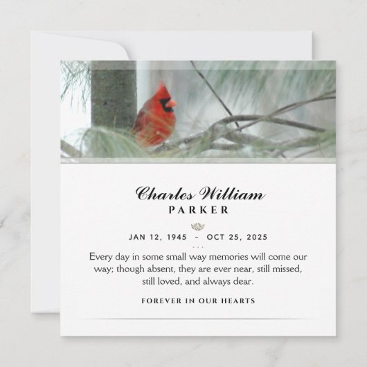 Kardinaal in Pine SQUARE Funeral Hartelijk dank Bedankkaart (Achterkant)
