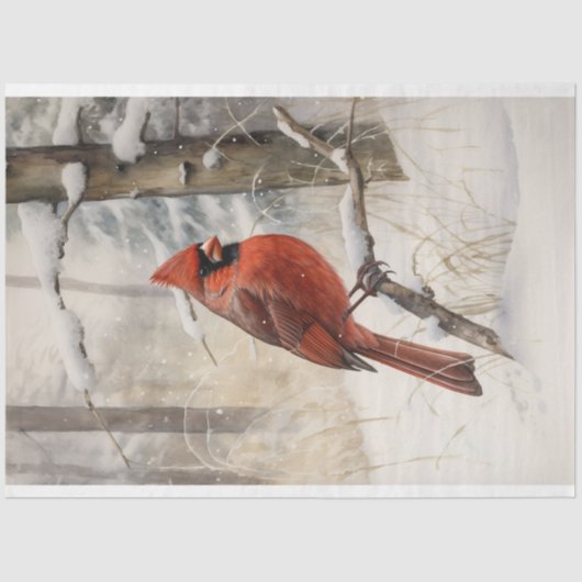 Kardinaal in Sneeuw 3 Decoupage Papier (Voorkant)
