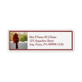 Kardinaal in sneeuw etiket (Voorkant)