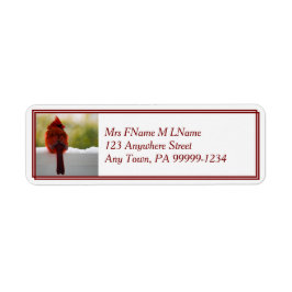 Kardinaal in sneeuw etiket