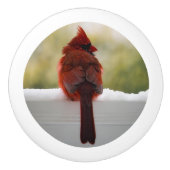Kardinaal in sneeuw keramische knop (Voorkant)