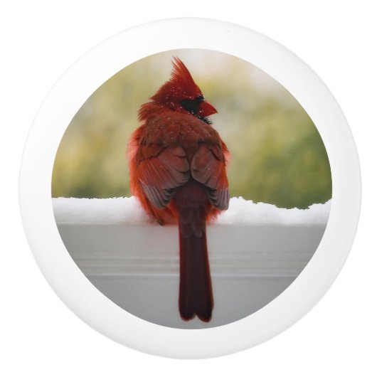 Kardinaal in sneeuw keramische knop (Voorkant)