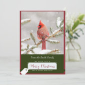 Kardinaal in Sneeuw Kerstmis Kaart (Staand voorkant)