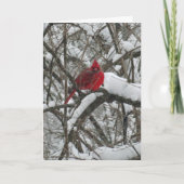 Kardinaal in Sneeuw Kerstmis Kaart (Voorkant)