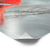 Kardinaal in sneeuw van 8 x 10 inch foto afdruk (Hoek)