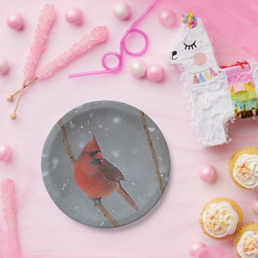 Kardinaal in Sneeuwdocument Bord (Feest)