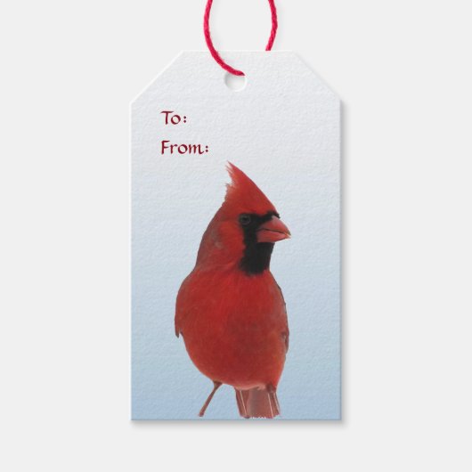 Kardinaal in Sneeuwpak van Gift Labels Cadeaulabel (Voorkant)