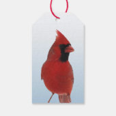 Kardinaal in Sneeuwpak van Gift Labels Cadeaulabel (Achterkant)