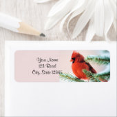 Kardinaal in Snow Dusted Fir Etiket (Insitu)