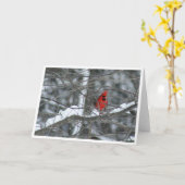 Kardinaal in Snowy Branches Kaart (Gele Bloem)
