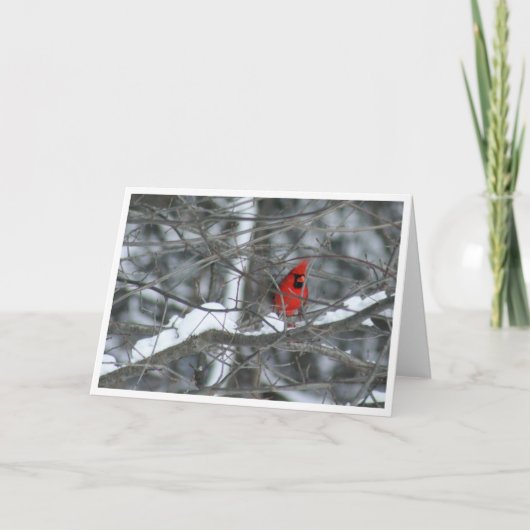 Kardinaal in Snowy Branches Kaart (Voorkant)