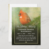 Kardinaal in sparren sympathie dank postkaart (Voorkant / Achterkant)