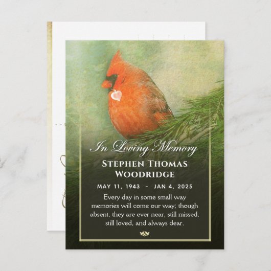 Kardinaal in sparren sympathie dank postkaart (Voorkant / Achterkant)