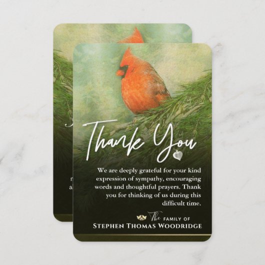 Kardinaal in Spruce 3,5 x 5 Sympathie Hartelijk da (Voorkant / Achterkant)