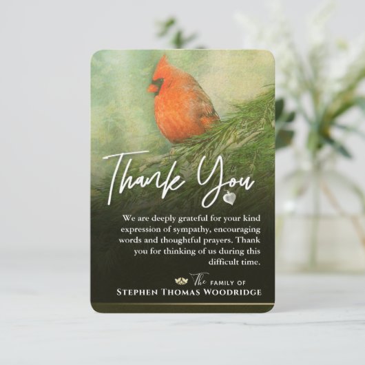 Kardinaal in Spruce 3,5 x 5 Sympathie Hartelijk da (Staand voorkant)