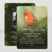 Kardinaal in Spruce Celebration of Life Foto 5x7 Kaart (Voorkant / Achterkant)