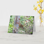 Kardinaal in takken van de besbes in de winter kaart (Gele Bloem)