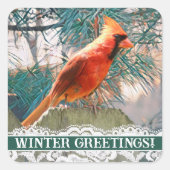 Kardinaal in voorzijde van Pine Tree Winter Seal Vierkante Sticker (Voorkant)