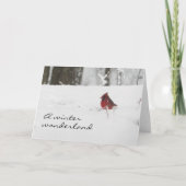 Kardinaal in Winter Sneeuw Kerstmis Feestdagen Kaart (Voorkant)