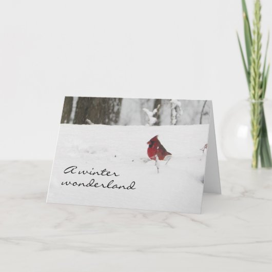 Kardinaal in Winter Sneeuw Kerstmis Feestdagen Kaart (Voorkant)