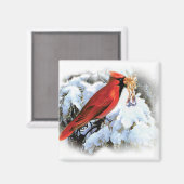 kardinaal in wintermagneet magneet (Voorkant / Achterkant)