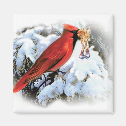 kardinaal in wintermagneet magneet (Voorkant)