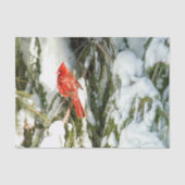 Kardinaal in winterpine-sneeuwwitpapier tissuepapier (Voorkant)