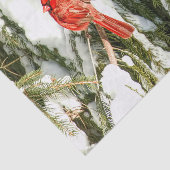Kardinaal in winterpine-sneeuwwitpapier tissuepapier (Detail)