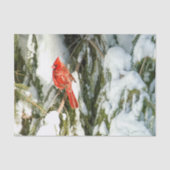 Kardinaal in winters dennenboom sneeuw tissuepapie tissuepapier (Voorkant)