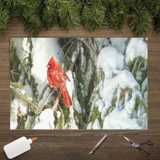 Kardinaal in winters dennenboom sneeuw tissuepapie tissuepapier