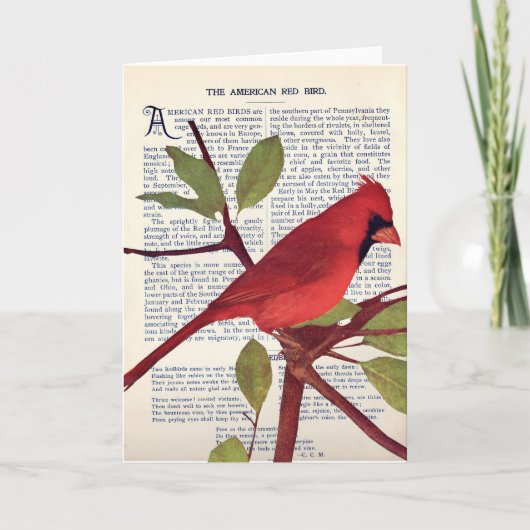 Kardinaal Kaart (Voorkant)