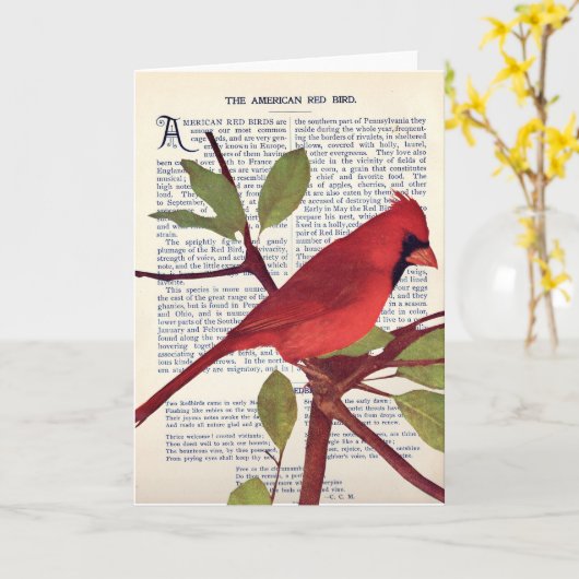 Kardinaal Kaart (Gele Bloem)