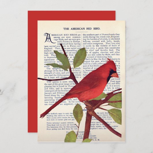 Kardinaal Kaart (Voorkant / Achterkant)