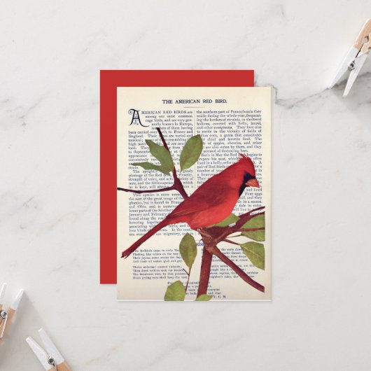 Kardinaal Kaart (Voorkant / Achterkant in situ)