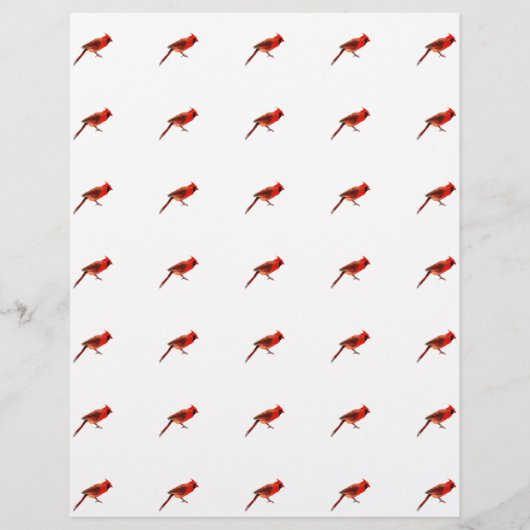 Kardinaal/Kardinalen Flyer (Voorkant)