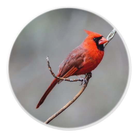 Kardinaal keramische knop (Voorkant)