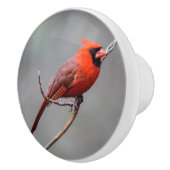 Kardinaal keramische knop (Rechts)