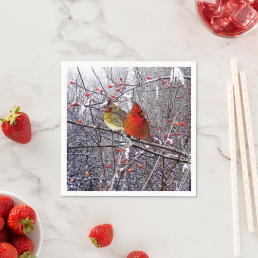 Kardinaal Kerst Papier servetten (Insitu)