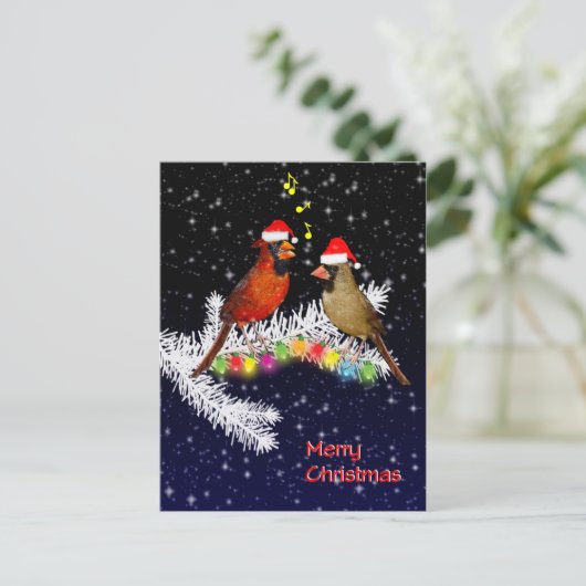 Kardinaal kerstBriefkaart Briefkaart (Staand voorkant)