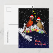 Kardinaal kerstBriefkaart Briefkaart (Voorkant / Achterkant)