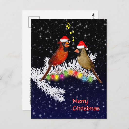 Kardinaal kerstBriefkaart Briefkaart (Voorkant / Achterkant)